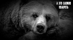 Зверь  Мистика  Истории про оборотней