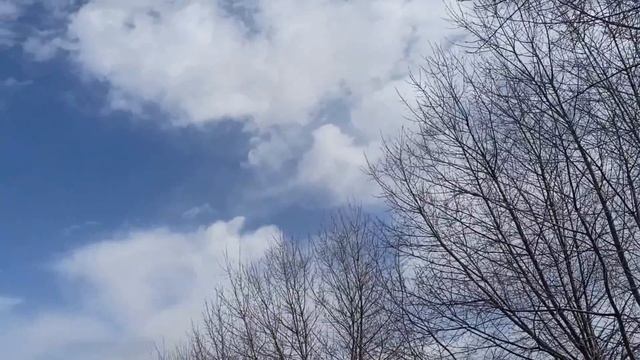 6 апреляДЕНЬ СВЯТИТЕЛЯ АРТЕМОНА . КАНУН БЛАГОВЕЩЕНИЯ . народные приметы и традиции смотреть онлайн