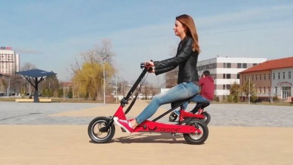 Narcine - the folding ninja scooter.