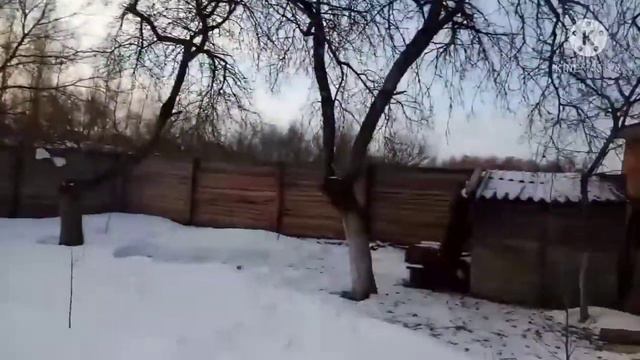 СДЕЛАЛИ САМОДЕЛЬНЫЕ МЕТАТЕЛЬНЫЕ СТРЕЛЫ | БОЛЬШОЙ САМОДЕЛЬНЫЙ ЛУК смотреть онлайн