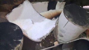 Замена Катализатора Форд Транзит . Пробег 125 т.км