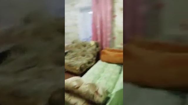 Дом в деревне Пеклино Дубровского района(продолжение) смотреть онлайн