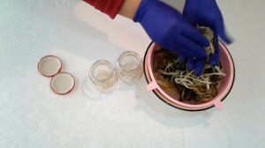 Черемша маринованная