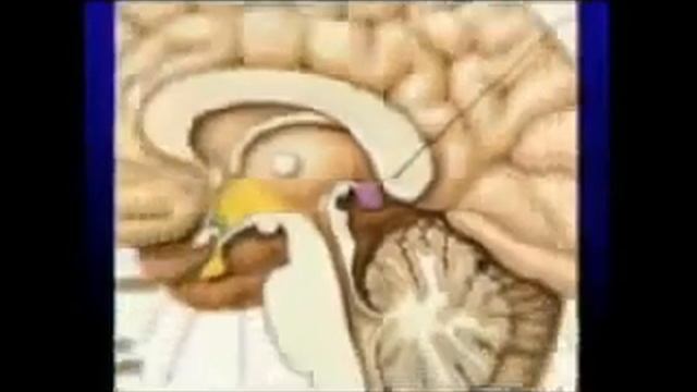 шишковидная железа смотреть онлайн