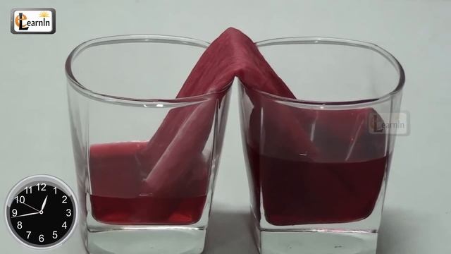 Capillary action in plants experiment with paper towel - Science experiments for kids смотреть онлайн
