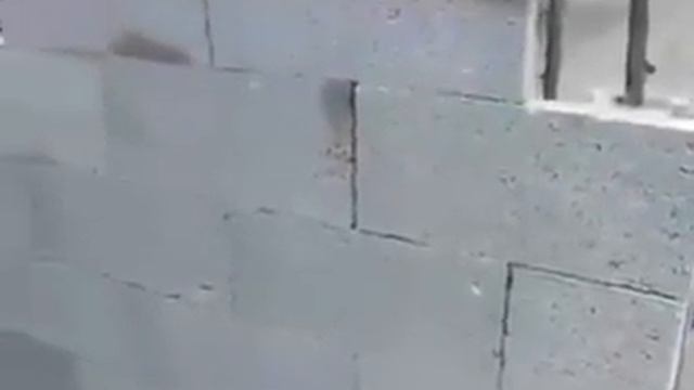 new concept of construction смотреть онлайн