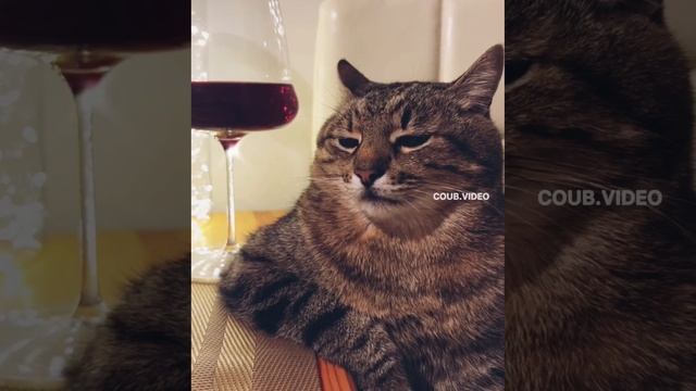 Степан познал этот мир.