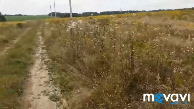 Первый раз достали домкрат. Помогает ли полынь от злых духов? смотреть онлайн