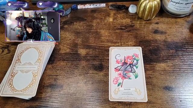 Enchanted Blossoms Oracle | Live Flip Through смотреть онлайн