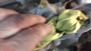 SANTA FE 2.7 замена клапана фазавращателя. Сказочное везение.