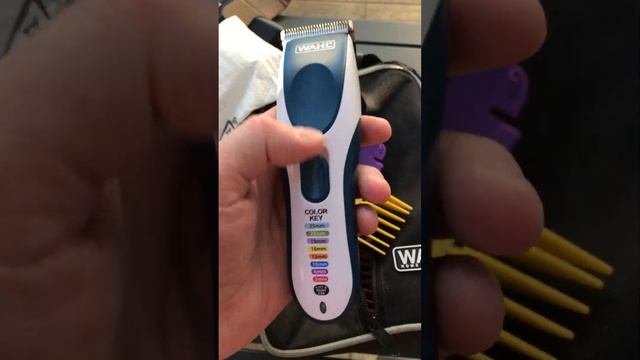 Wahl Color Pro Review