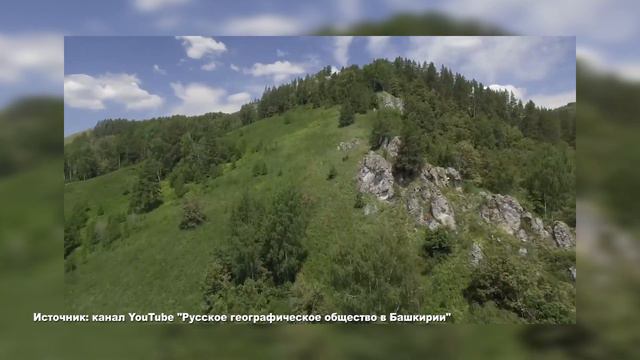 Проверь знания смотреть онлайн