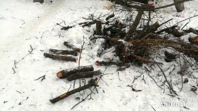 ЧАСТЬ 10/Запущенный участок! Дача!!!Неухоженный Участок!делаем обрезку Деревьев смотреть онлайн