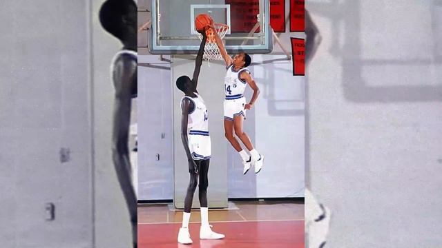 Life of Rio (BRIZILIAN PHONK) Manute Bol X Spud Webb смотреть онлайн