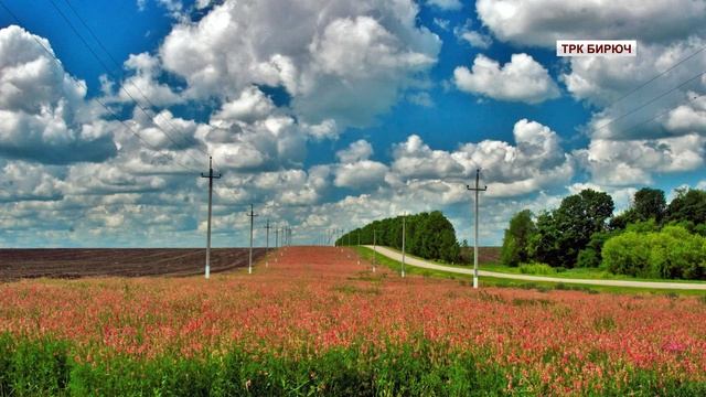«Жизнь в объективе». Фотохудожник Сергей Макушин смотреть онлайн