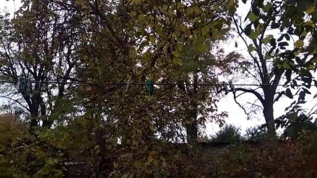 Запорожье 25.10.22. Пока тихо . Драгоценности осени . Кошачий телевизор. смотреть онлайн