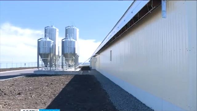 Селекционно-генетический центр в Частоозерье смотреть онлайн