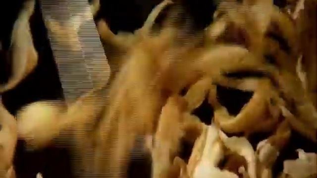 Бобовый салат с жареными тигровыми креветками смотреть онлайн