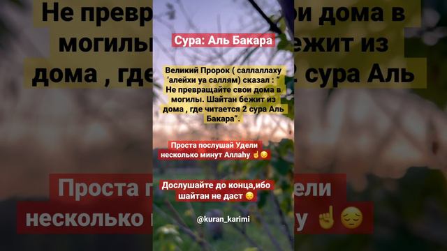 Сура: Аль Бакара Билал Дарбали красиво чтение Корана смотреть онлайн