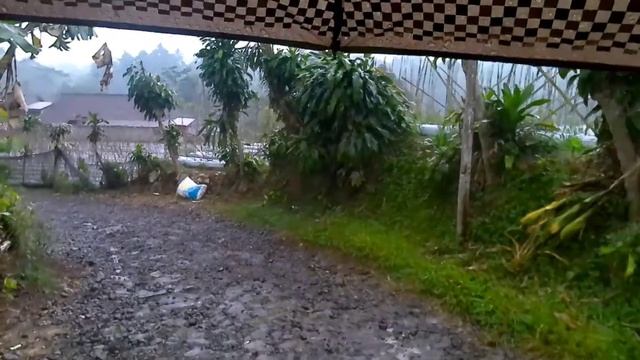 It rained after the dry season and I enjoyed it under an umbrella. Sukabumi, West Java, Indonesia смотреть онлайн