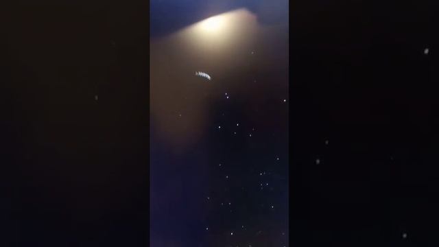 Samsung Odyssey G7 Stroboscopic Effect смотреть онлайн
