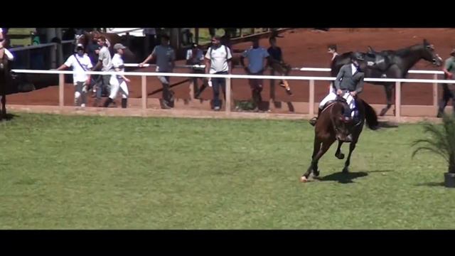 VIGILANTE DAS CATARATAS - CAMPEÃO CAVALOS NOVOS 6 ANOS смотреть онлайн