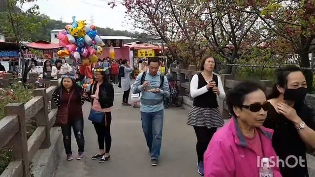Taiwan Sakura Garden | Прекрасный сад с Сакурами | Taiwan 2018 | Тайвань | Обзор | 台湾 смотреть онлайн