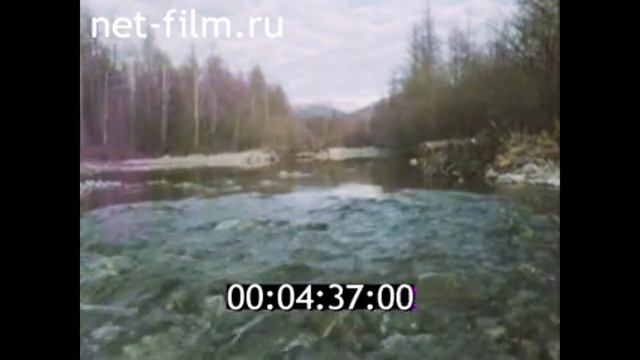 1979г. Москва. Русский народный оркестр "Боян". Полетаев А.И. смотреть онлайн