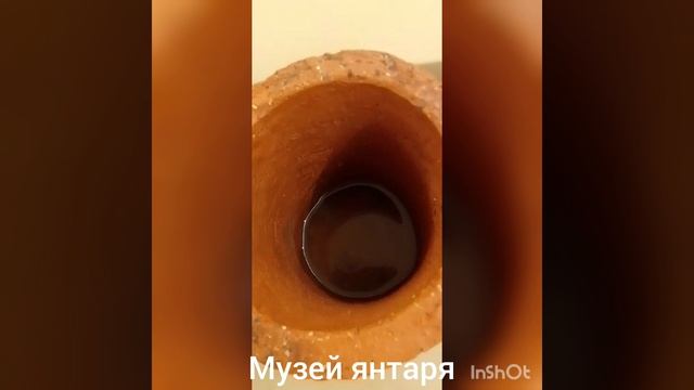 Янтарь#музейянтаря#