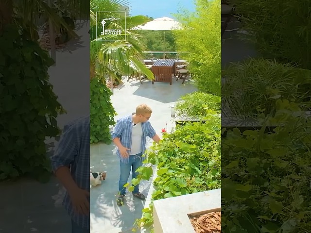 Самый быстрый обзор дома 藍 ВОТ такое видео для ваших улыбок ? смотреть онлайн