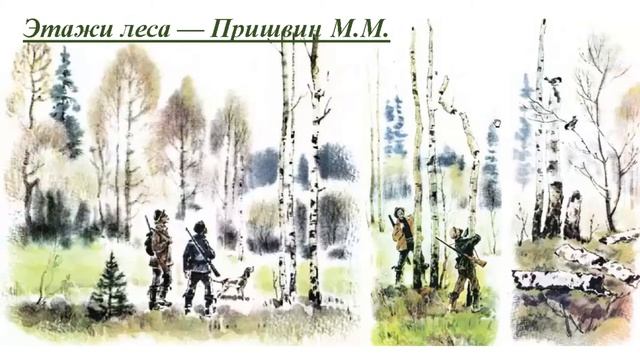 Михаил Пришвин "Этажи леса" смотреть онлайн