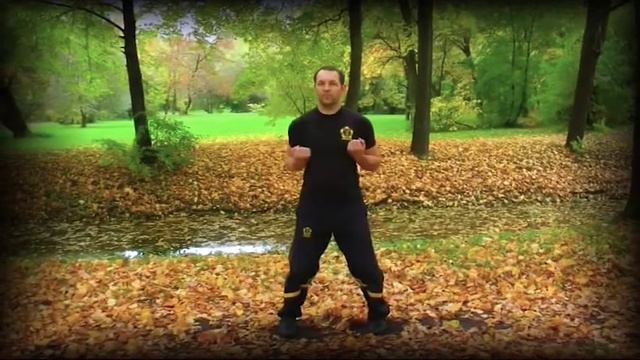 Chum Kiu second Wing Chun form 1 смотреть онлайн