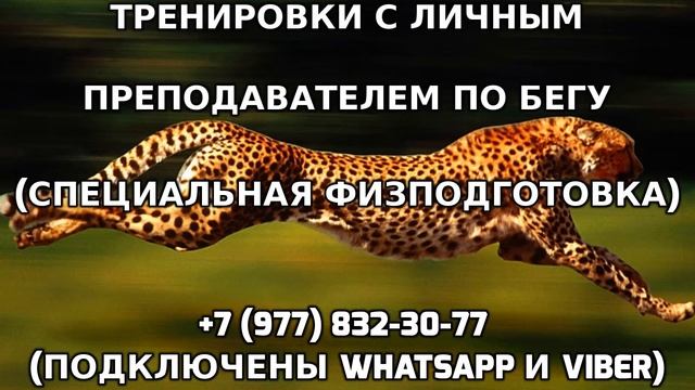 Тренировки с личным преподавателем по бегу +7 (977) 832-30-77 смотреть онлайн
