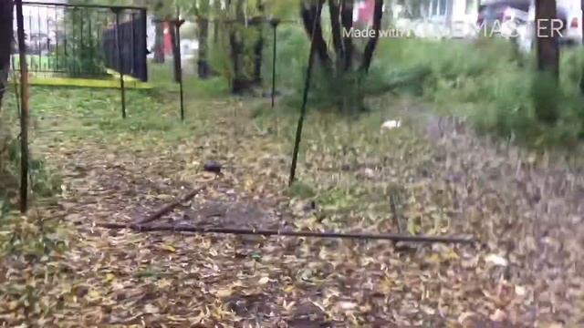 Неповторимый Боря 3 серия: У Бори кипиш ! смотреть онлайн