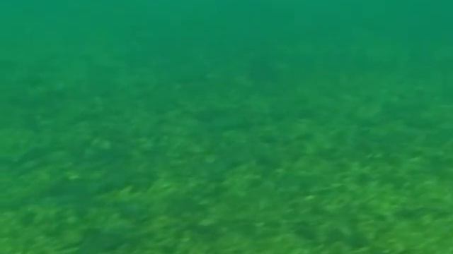 Подводная охота зимой Александр Кочубей / Ангара  День I / Angara River Episode1