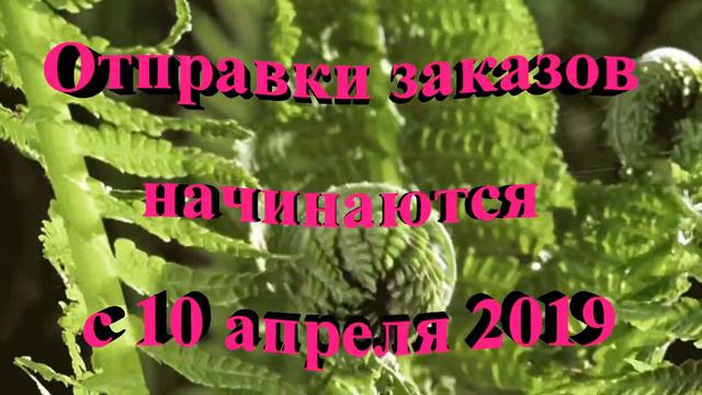 Доставка и Оплата смотреть онлайн