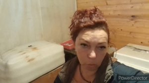 ✔Полезности для кур несушек!//Инкубатор Несушка//Грибы Вешенки//Как Рыжий?