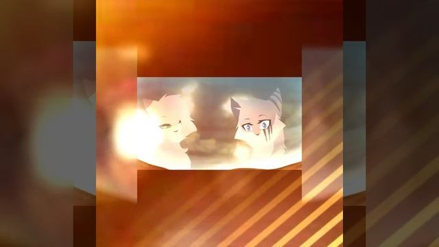 Коты Воители "Жизнь в стиле Треш" смотреть онлайн