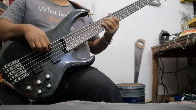 somo ajenos #alegresdelasierra cover en el bass смотреть онлайн