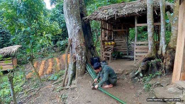 Harvest wild pomelos, weave bamboo mats - Looking for the best feed for pigs - off-grid | Ep.55 смотреть онлайн