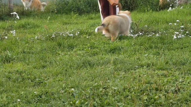 MVI 3519 смотреть онлайн