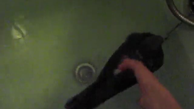 Водоплавающий голубь 2. (Water pigeon) смотреть онлайн