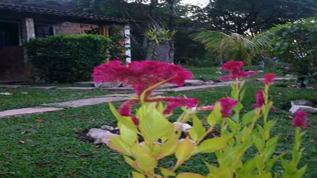 Hostel do Vale - Vale do Capão - Brazil смотреть онлайн