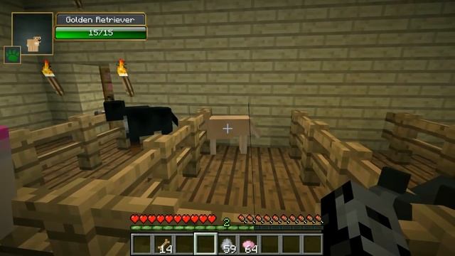 Minecraft: TOO MANY DOGS!! (39 EPIC TYPES OF DOGS!) Mod Showcase смотреть онлайн