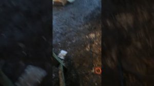 Моторном масле при попадание  в  него тосола