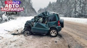 Египетская Сила! Зимний Сезон Торопыг и Водятлов