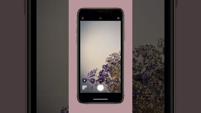 Как установить формат фото 16:9 на iPhone навсегда смотреть онлайн