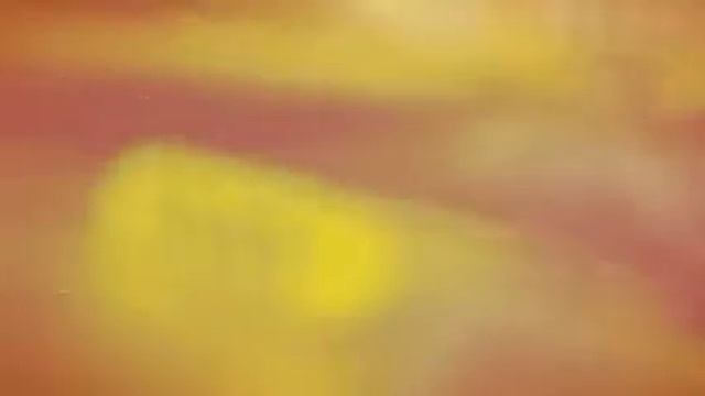 ПАПА ПОЗДРАВЛЯЮ С ДНЁМ ВОДИТЕЛЯ !!! (Created with @Magisto смотреть онлайн