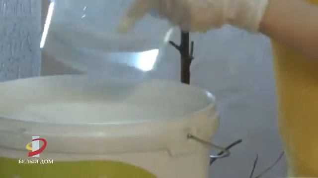 Мастер-класс по декоративному, акриловому покрытию Декор-Рельеф (декоративная штукатурка) смотреть онлайн