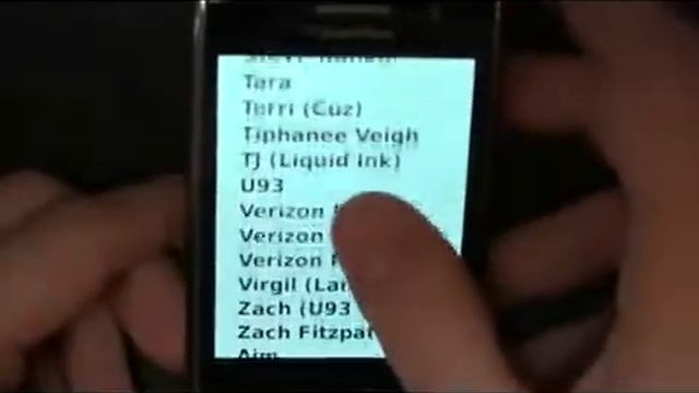 acceloDex for the BlackBerry® Storm™ смотреть онлайн